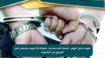 تنويه عاجل اليوم.. ضبط تاجر مخدرات بحوزته 30 طربة حشيش قبل الترويج في الشرقية